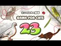【猫用動画MIX23】ハトねこじゃらしなど ４時間 GAME FOR CATS 23
