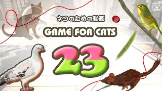 【猫用動画MIX23】ハトねこじゃらしなど ４時間 GAME FOR CATS 23 screenshot 3