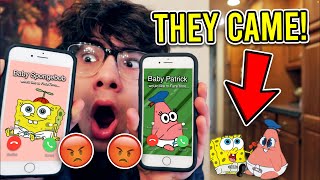 Do Not Facetime Baby Spongebob And Baby Patrick At The Same Time They Came To My House