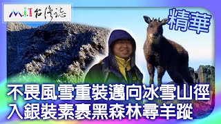 不畏風雪重裝邁向冰雪山徑 入銀裝素裹黑森林尋羊蹤｜臺中市和平區 麥覺明【@ctvmit831集】