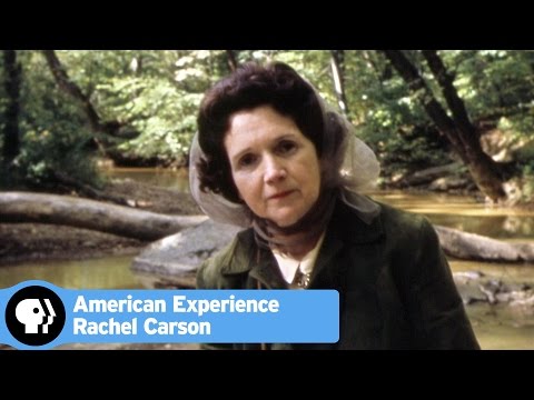 Video: Điều gì đã ảnh hưởng đến Rachel Carson?