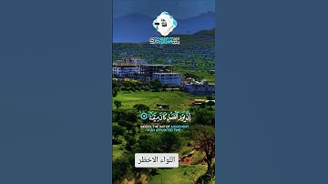 تلاوة خاشعة قرأن كريم راحة نفسية تخشع له القلوب #تلاوة #elmulquranعلم #اكسبلور #المصحف #قران_كريم