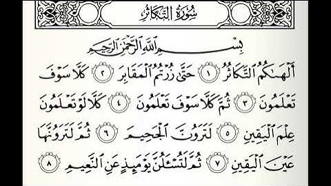تلاوات مختارة سورة التكاثر القارئ ناصر علي الغامدي