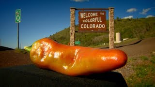 Explore the green chile war between Colorado and New Mexico