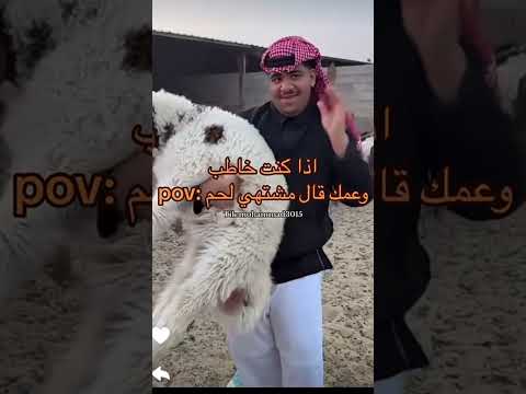 عندماء تكون خاطب وعمك قال مشتهي لحم هههههههه البانداء ترند اكسبلور دويتو لايك متابعه
