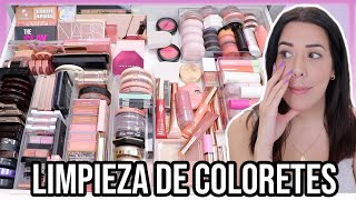 SACO MÁS 50% COLORETES Limpiando y Organizando | MINI REVIEW