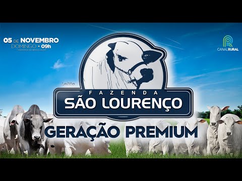 LOTE 93 - GSC 8520 - 8650 - 8462