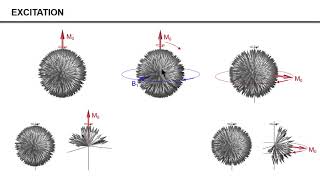 ISMRM MR Academy - Basic Principles of MRS