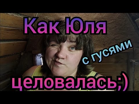 Видео: Собака безопасна и счастлива после того, как застряла голова из-за этой вкусной закуски