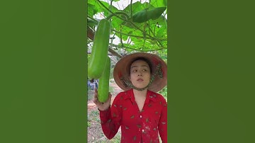 Dân SG đi bắt cá lóc to mừng húm dữ vậy luôn | Huyền Phi Official #shorts