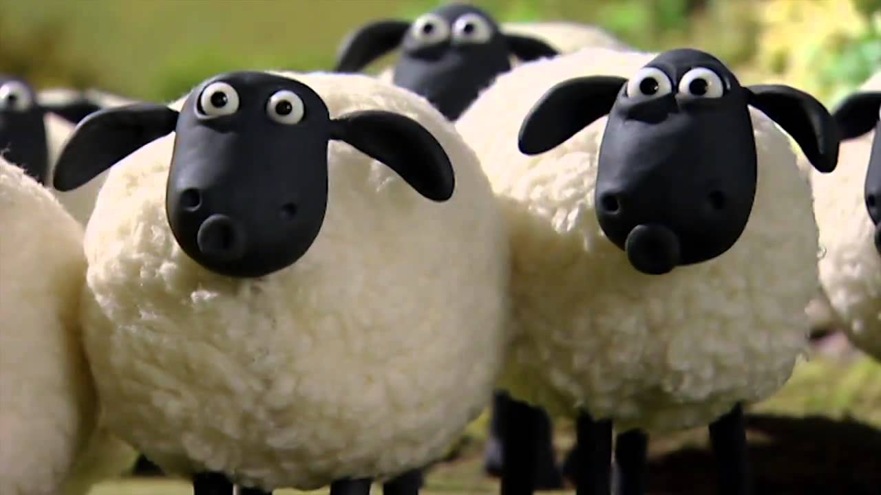 барашек шон 2014. 3 овечки. видео про барашек. Sheep reklama. маленький барашек.