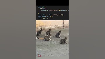 Real-time cat synchronization #coding #programming #javascript #python