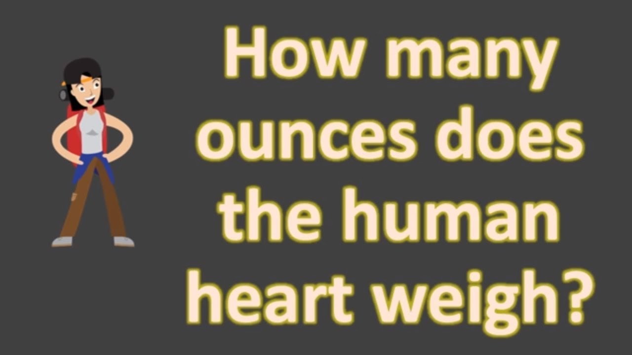 How Many Ounces Does The Human Heart Weigh Health FAQS YouTube How Many Ounces Does The Human Heart Weigh Health FAQS YouTube