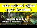 සැබෑ ලෝකයේ හමුවන අපුරු වනාන්තර | Shanethya TV