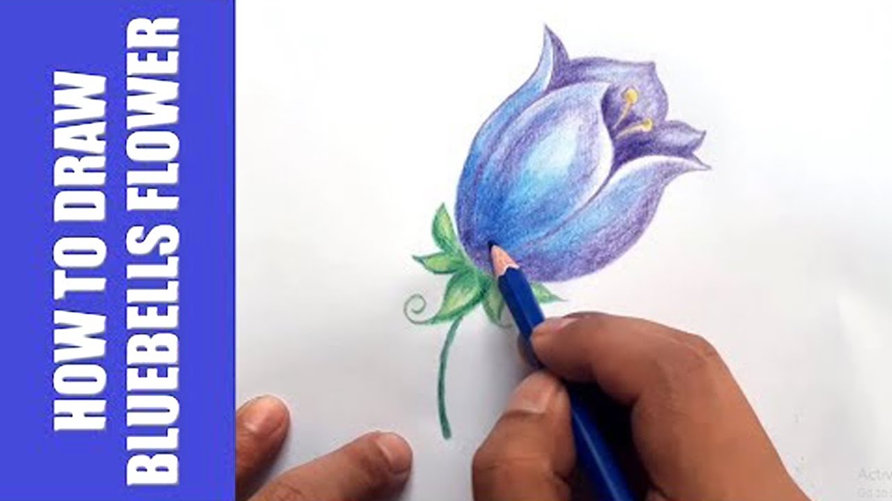 How To Draw Bluebells Flower For Kids Youtube