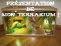 Présentation de mon Terrarium !