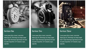 CSS3 Text Div Background color change Animation | CSS3 Animation Snippets