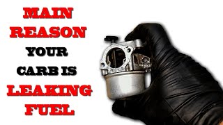 Famous Fuel Leaking From Air Filter Wealth