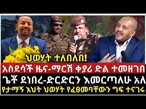 ቪዲዮ: ግራይ የሚሄድ ኮን አበባዎች፡እንዴት ግራጫ የሚሄድ የኮን አበባ ዘሮችን መትከል እንደሚቻል