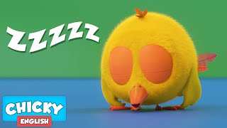 Where's Chicky? Funny Chicky 2021 | SLEEPINESS CHICKY | Chicky Cartoon in English for Kids