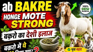 Goat Farming Loan Complete Guide | Bakri Palan Subsidy Loan | Bank Loan Process Hindi | Subcidy loan
