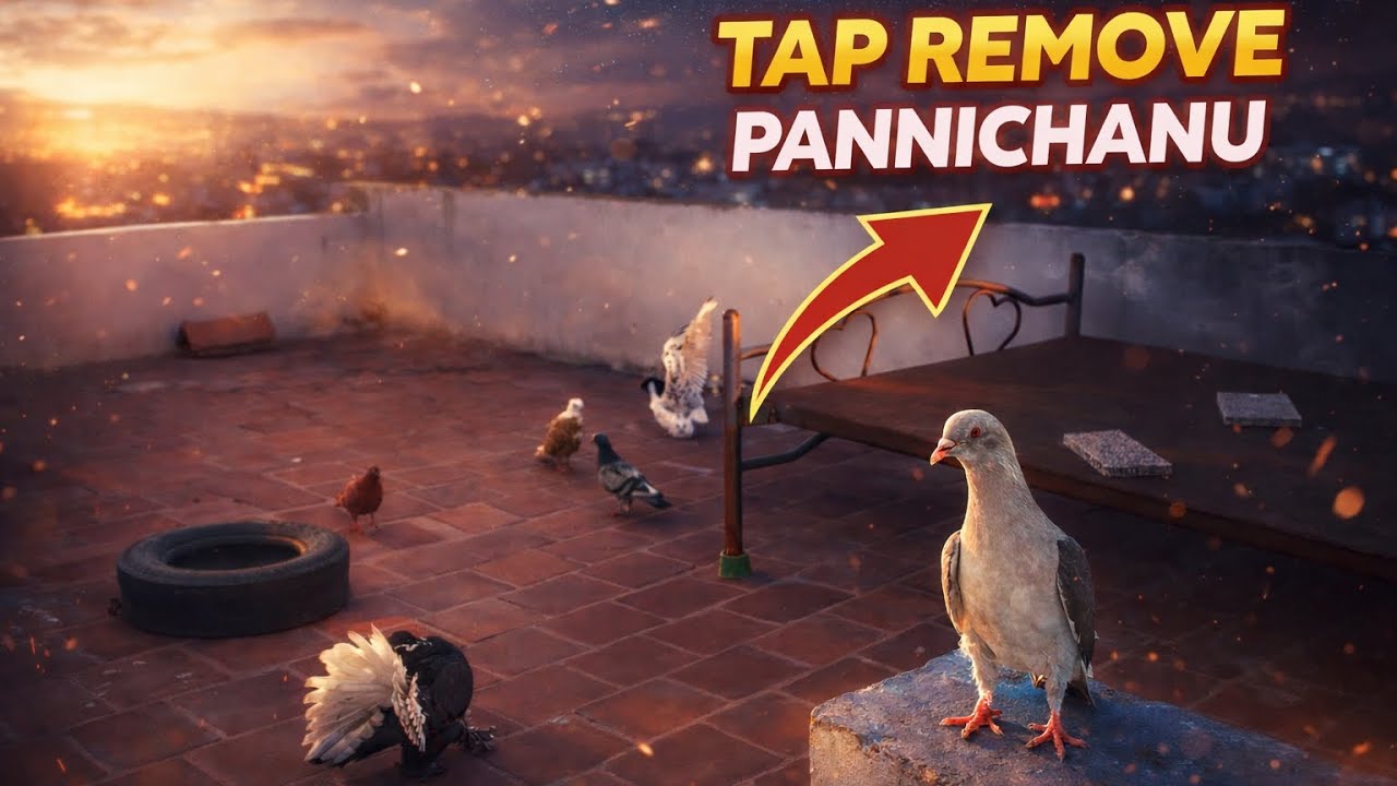 Day 35 | namma pura ku tap remove panniyachu 😍 | beginner must watch 😍 | tamil| rio tha pigeon 