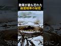 敵軍が“幽霊戦車”と恐れた現象