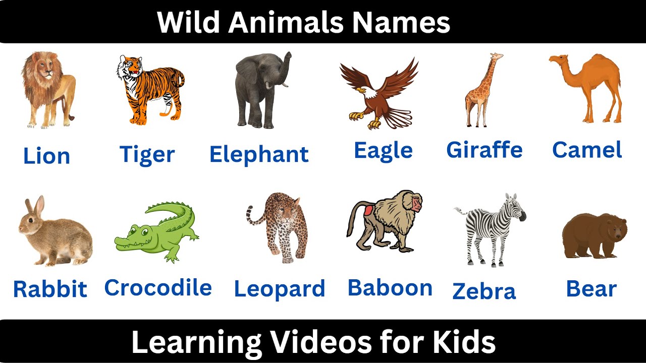 Wild Animals Names | Wild Animals Names in English with Spelling ...