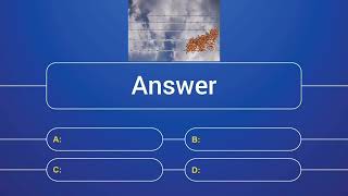 Correctional Administration Review Questions 4