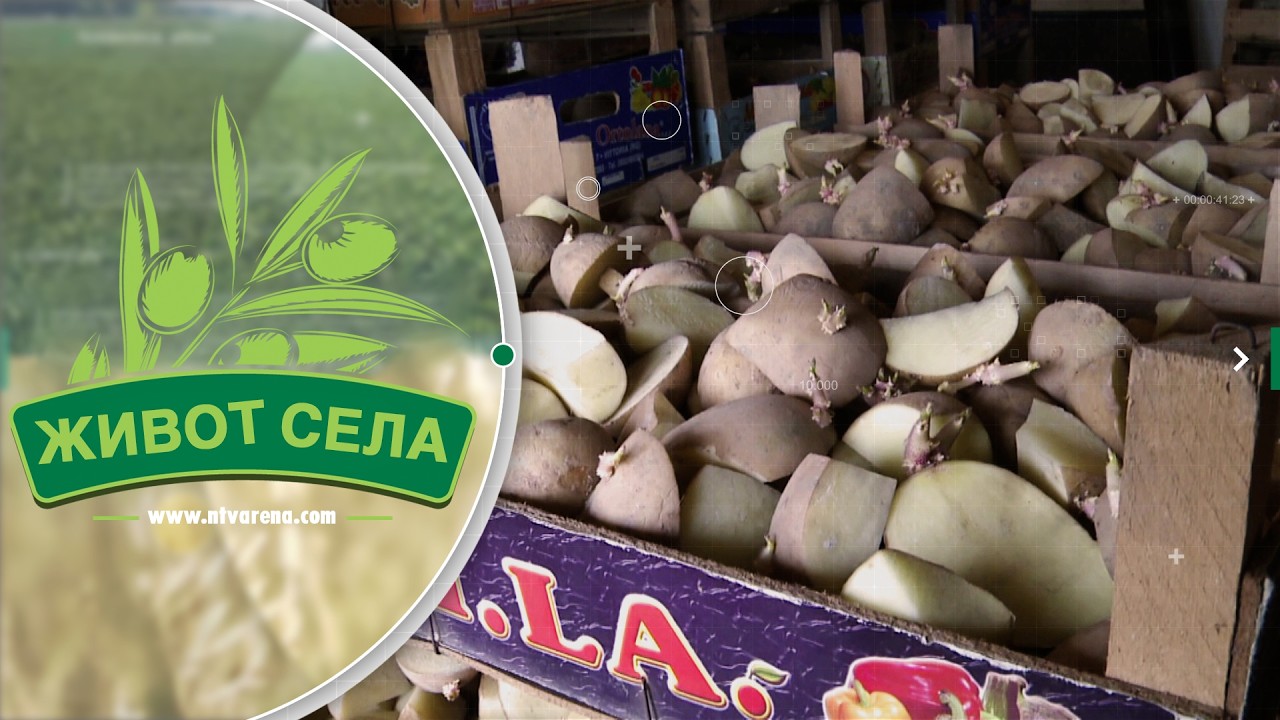 700 KM po dunumu: Ko još smije da sije krompir u Semberiji?