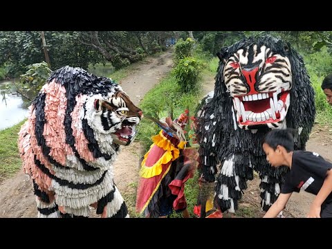 Barongan Raksasa Barongan Rampak Dan Can Macanan Tawuran