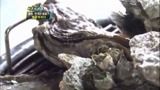 VJ특공대 - VJs on the Scene 20120330 # 002