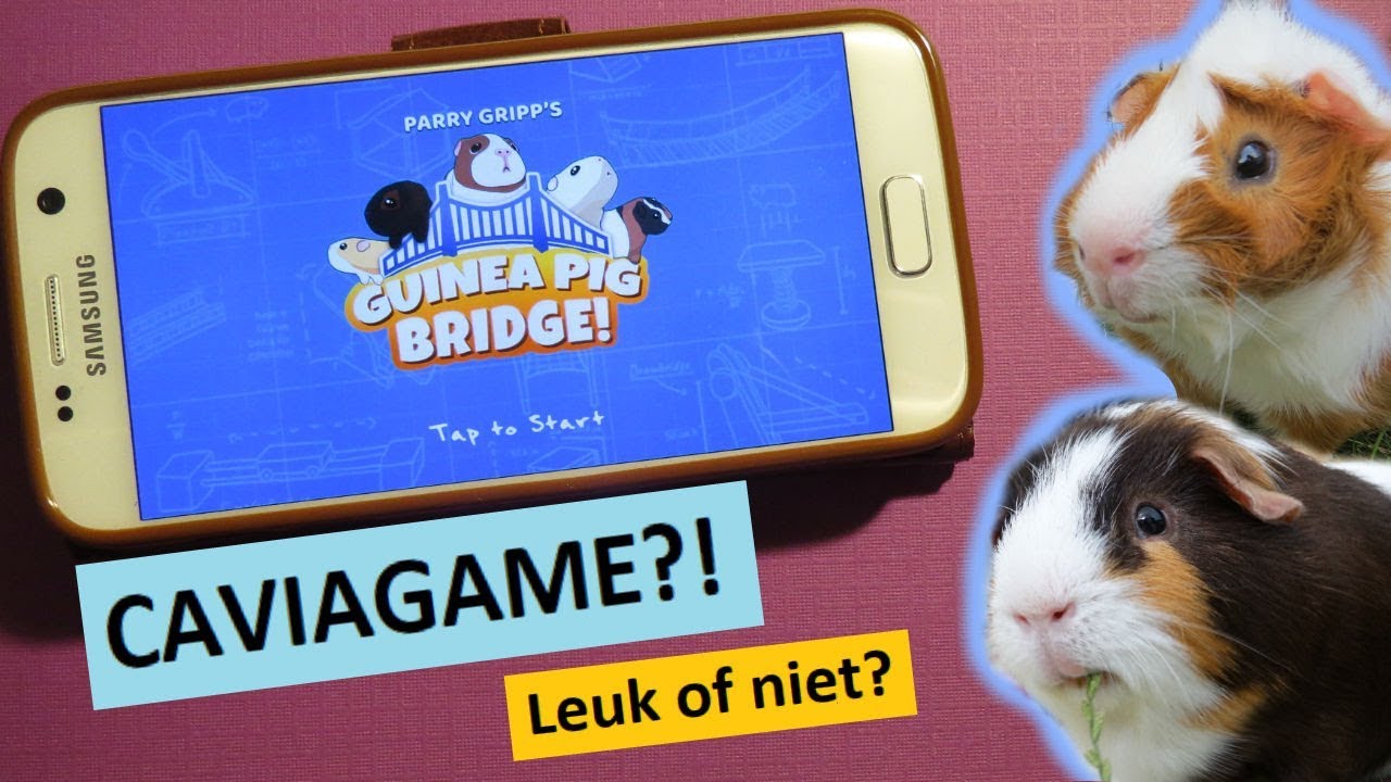 CAVIAGAME?! Leuk of niet? // Guinea Pig Bridge YouTube