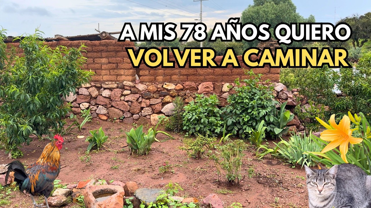 A MIS 78 AÑOS PRIMERAMENTE DIOS YO QUIERO VOLVER A CAMINAR