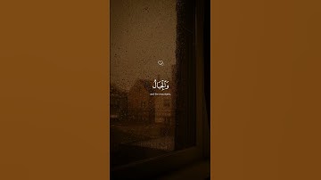 أَلَمْ تَرَ أَنَّ اللَّهَ يَسْجُدُ لَهُ|سورة الحج|القارئ ياسر الدوسري😴❤️.