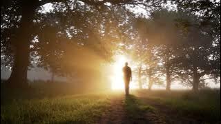 Man Walking Alone - Copyright Free Video