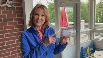 Weather School 4 Kids: Air Pressure