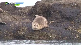 VJ 특공대 - 서해 최북단 신비의 섬 '백령도'에 가다!.20170331