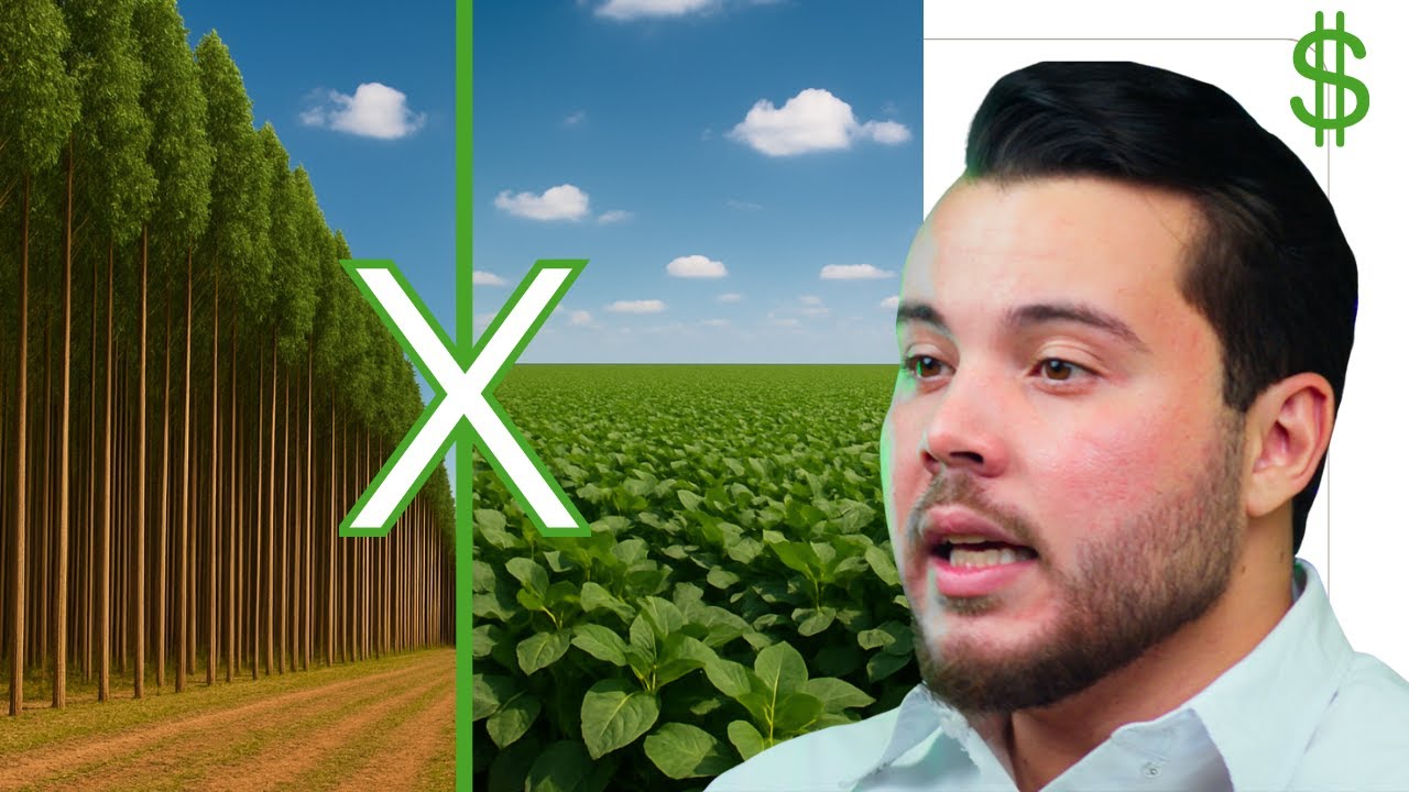 EUCALIPTO vs SOJA: Qual dá mais LUCRO? (VOCÊ VAI SE ASSUSTAR!)