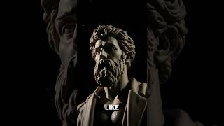 Manipulation Alert! Are You Missing These 12 Red Flags_ #marcusaurelius #seneca #selfimprovement Wealth