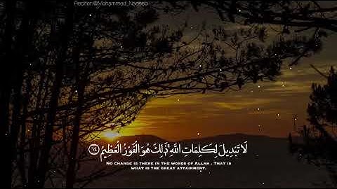 القارئ محمد النقيب الا ان اولياء الله لا خوف عليهم