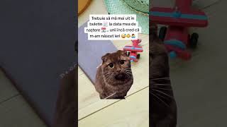 Am Uitat Cnd Mam Nscut  Unii Zic C Ieri  glum buletin vrsta funny