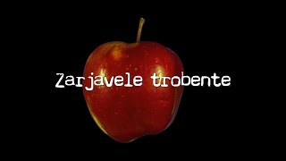 Crvena jabuka - Zarjavele trobente (Official lyric video)