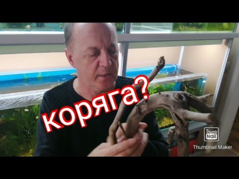 для чего и