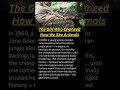 The Girl Who Changed How We See Animals