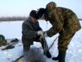 Yakut winter fishing.avi