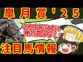 【皐月賞】クロワではない！地獄の魔理沙、悪魔的本命は・・・知らないと損をする注目馬の情報！！