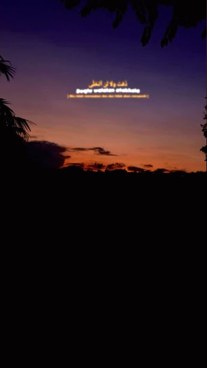 Story WA || mentahan CCP || Duktu Walalan Atakholla🎶