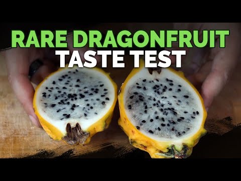 6 Rare Dragonfruit Varieties Taste Test!