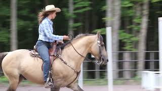 A Start in Working Equitation ~ SRR